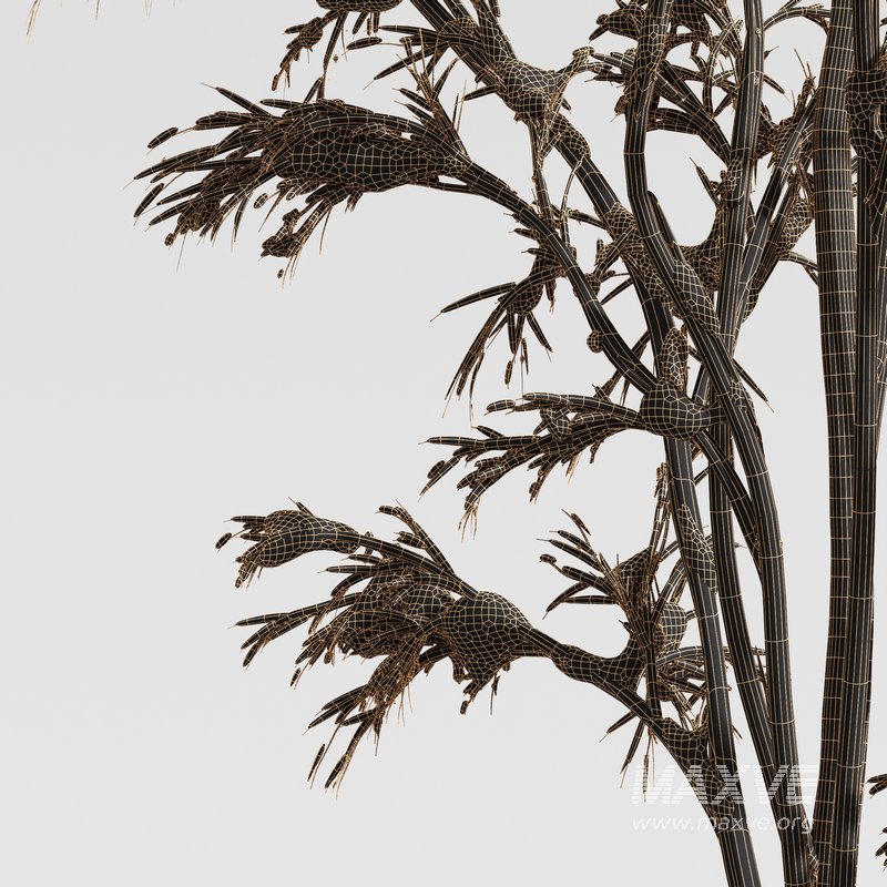 Winter Snow Tree 01 - Image 7