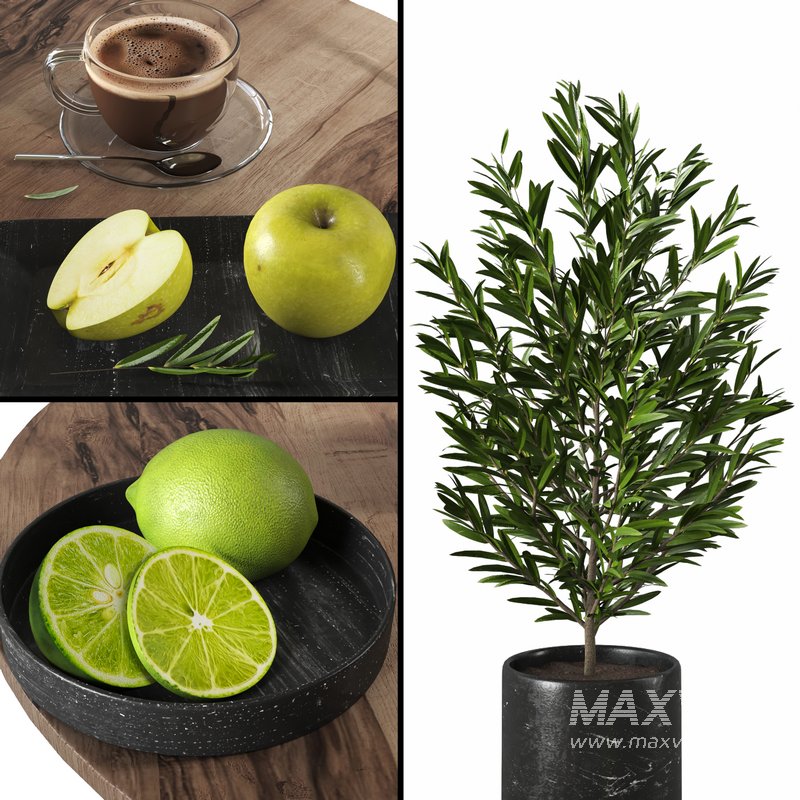 Fruit and drink decor set 01 - Image 3