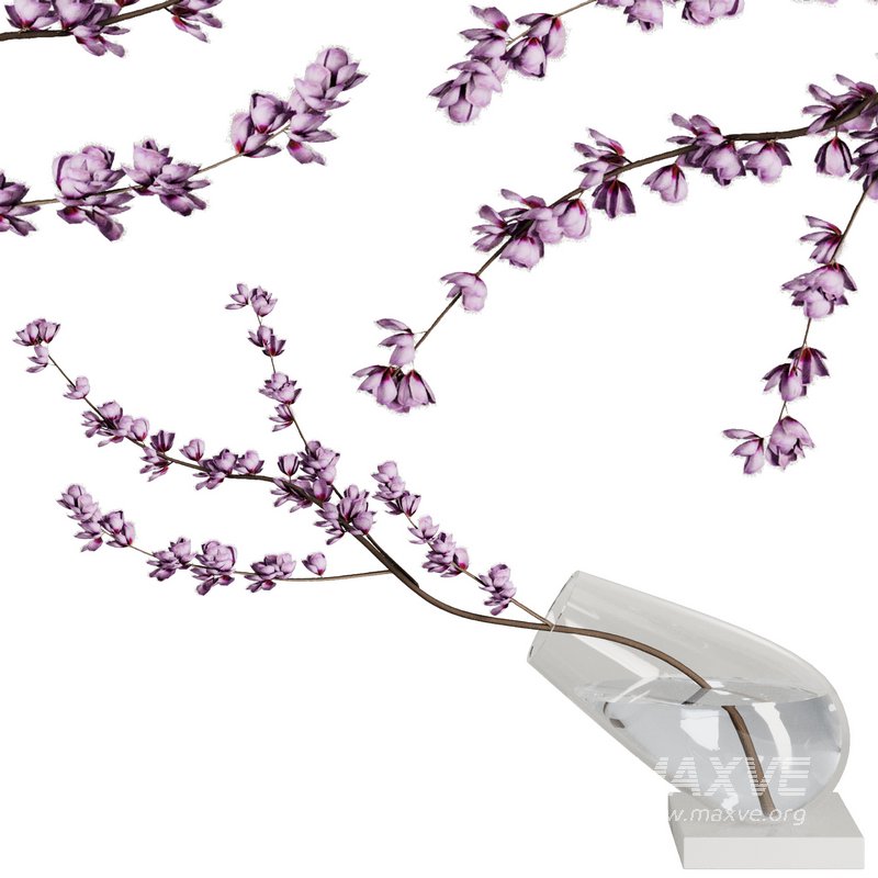 Dry Branches Bouquet26 - Image 1