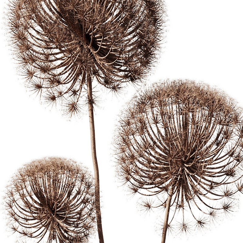 Dry Branches Bouquet28 - Image 2