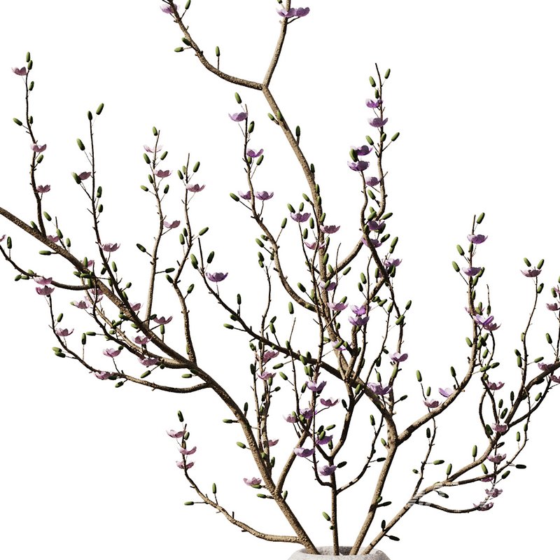 Dry Branches Bouquet29 - Image 2