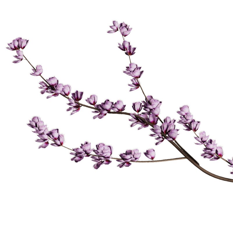 Dry Branches Bouquet26 - Image 2