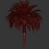 Palm tree3 - Thumbnail 3
