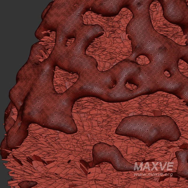 Pine tree snow set4 - Image 3