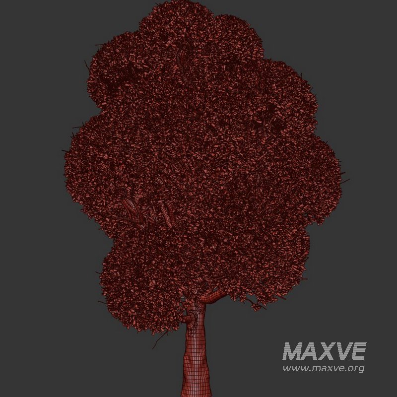 spherical tree2 - Image 3