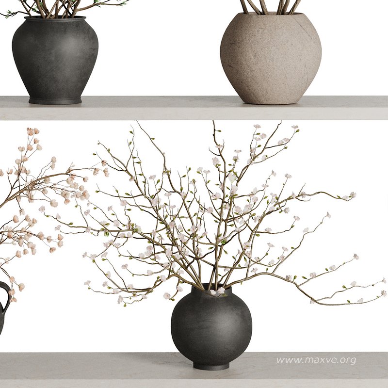 Five Dry Bouquet set30 - Image 3