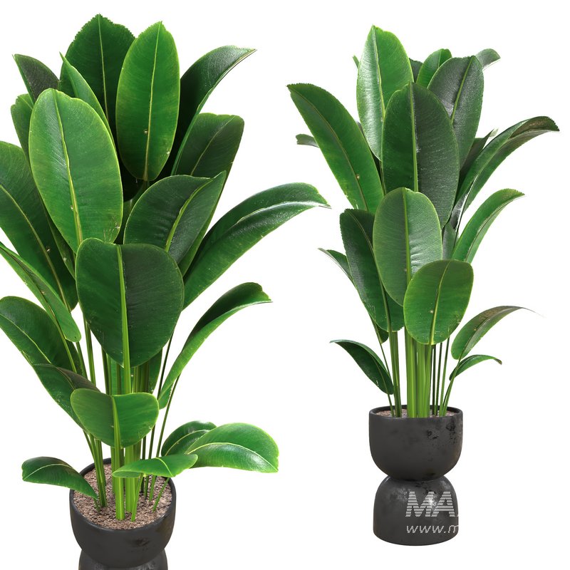 Interior planet - Image 3