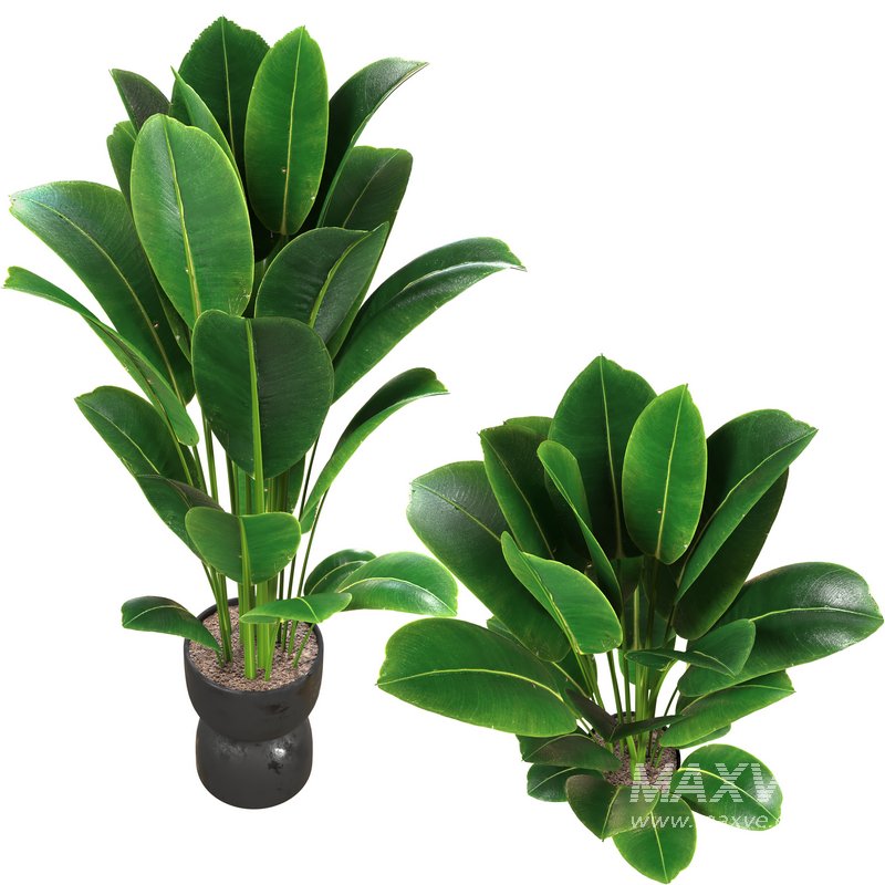 Interior planet - Image 2