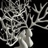 deer_accessories - Thumbnail 2