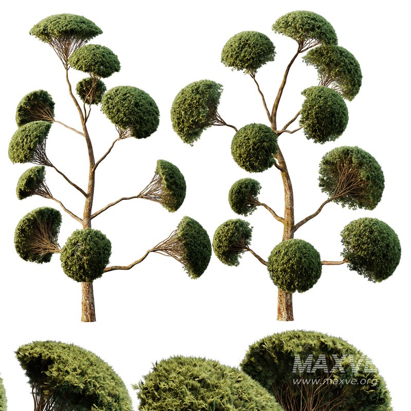 Spherical tree02 - Image 1