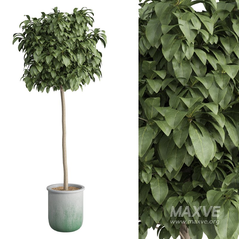 Bushes set 01 - Image 1