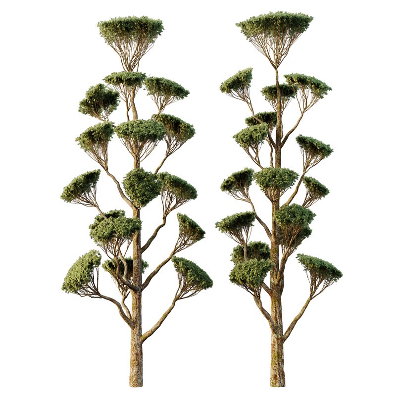 Spherical tree05 - Image 1