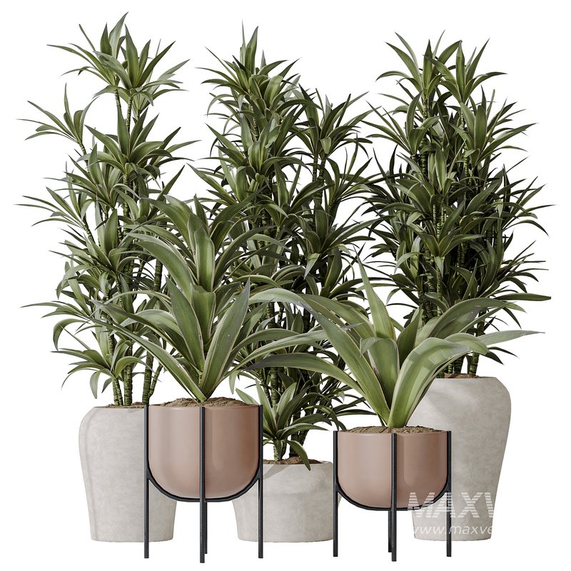 Lemon Lime Cane Dragon vases - Image 1