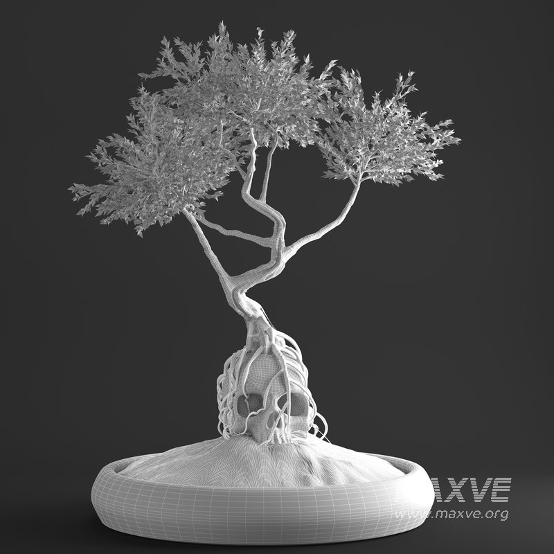 bonsai on skull in pot 09 - Image 5