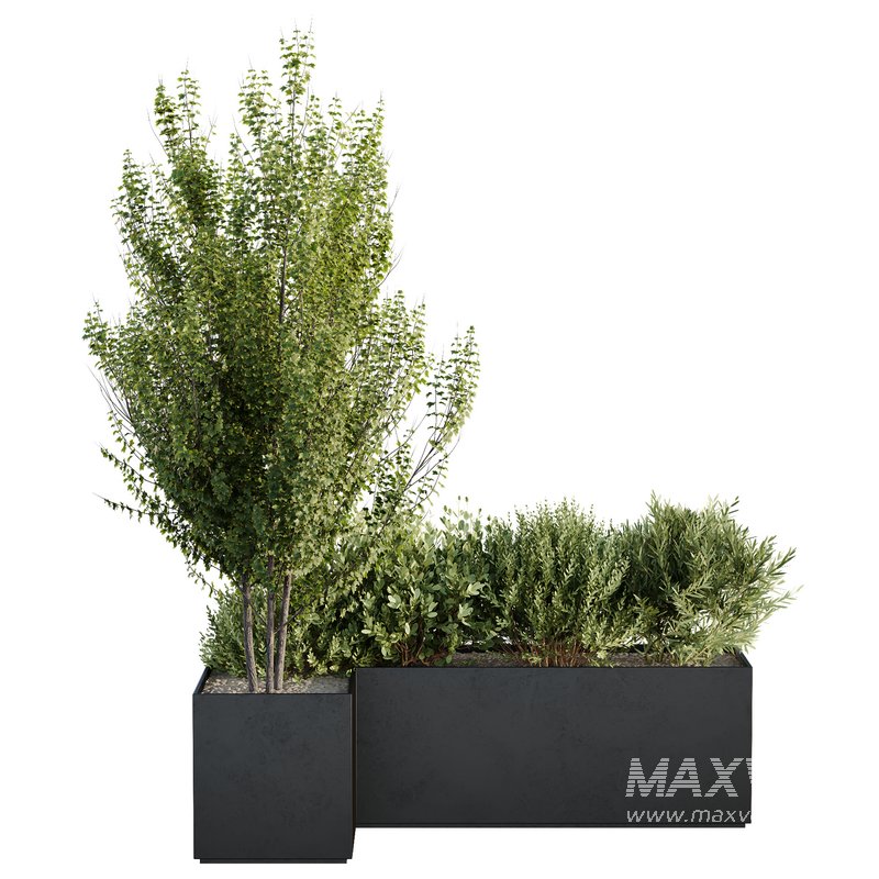 HQ Tree and bush garden box outdoor VOL 57 - Image 1
