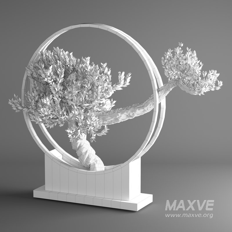 bonsai tree in pot 10 - Image 3