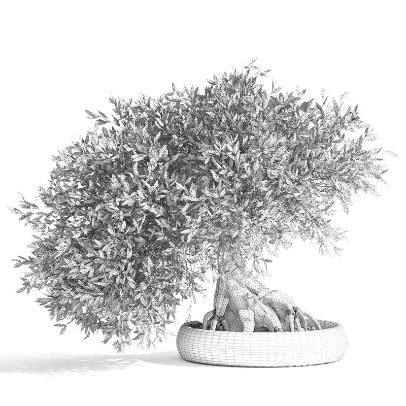 bonsai indoor plant set 03 3D model - Image 2