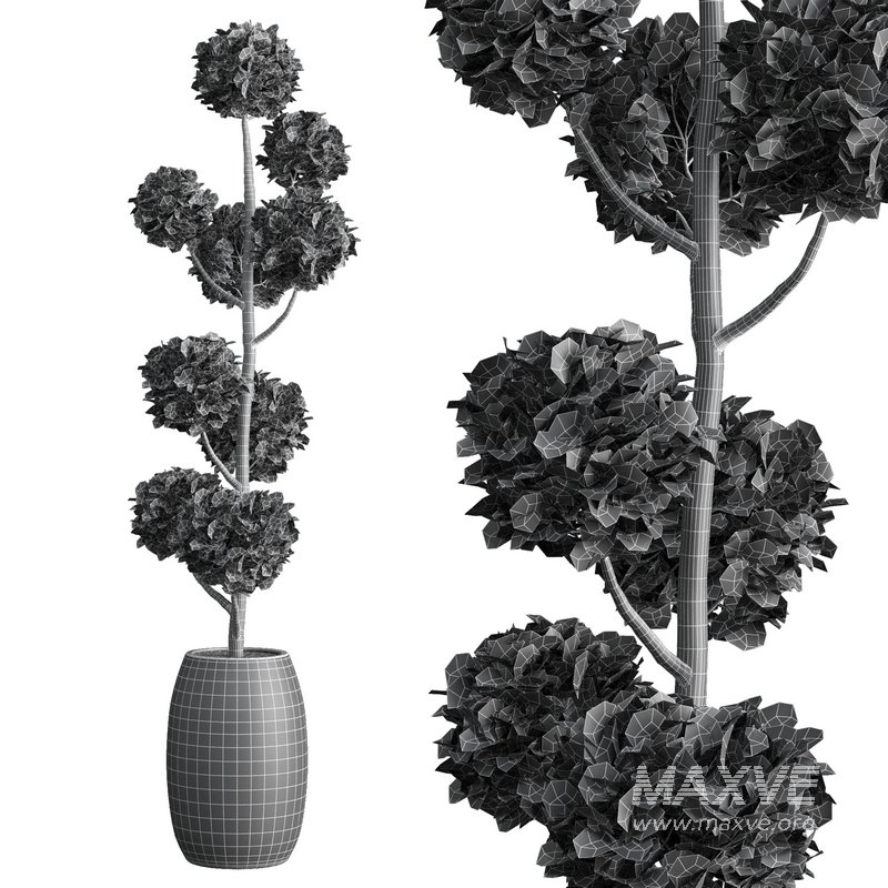 Junipers in sepia Duo ceramic planters - Image 3