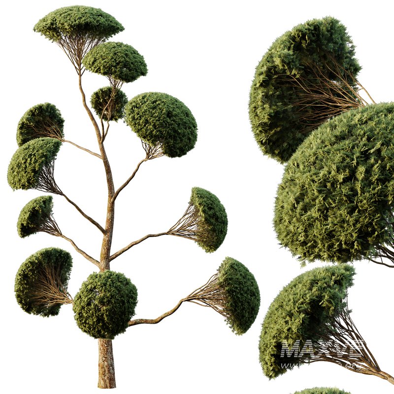 Spherical tree02 - Image 2