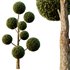Spherical tree04 - Thumbnail 3