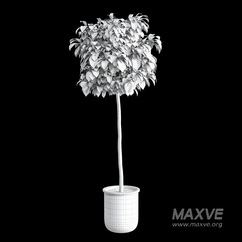 Bushes set 01 - Image 2