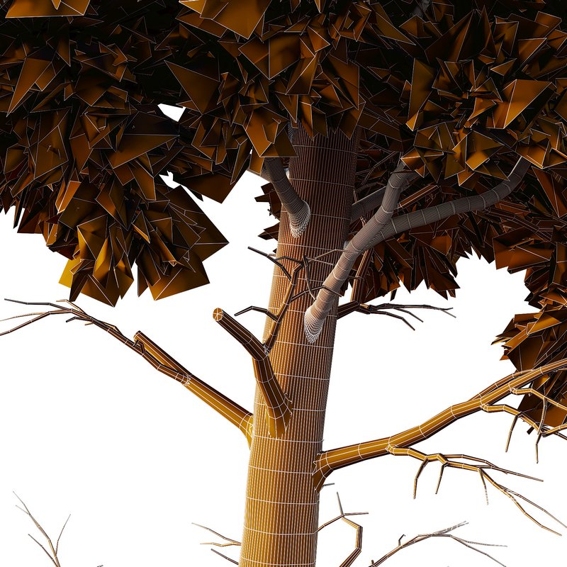 Chamaecyparis thyoides Tree02 - Image 4