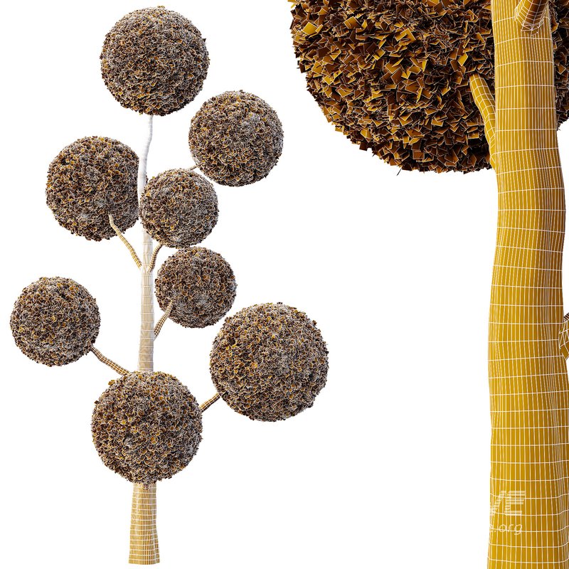 Spherical tree04 - Image 4