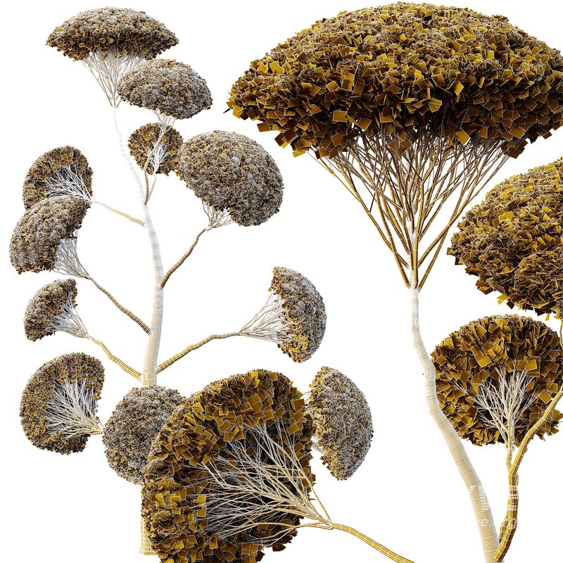 Spherical tree02 - Image 4