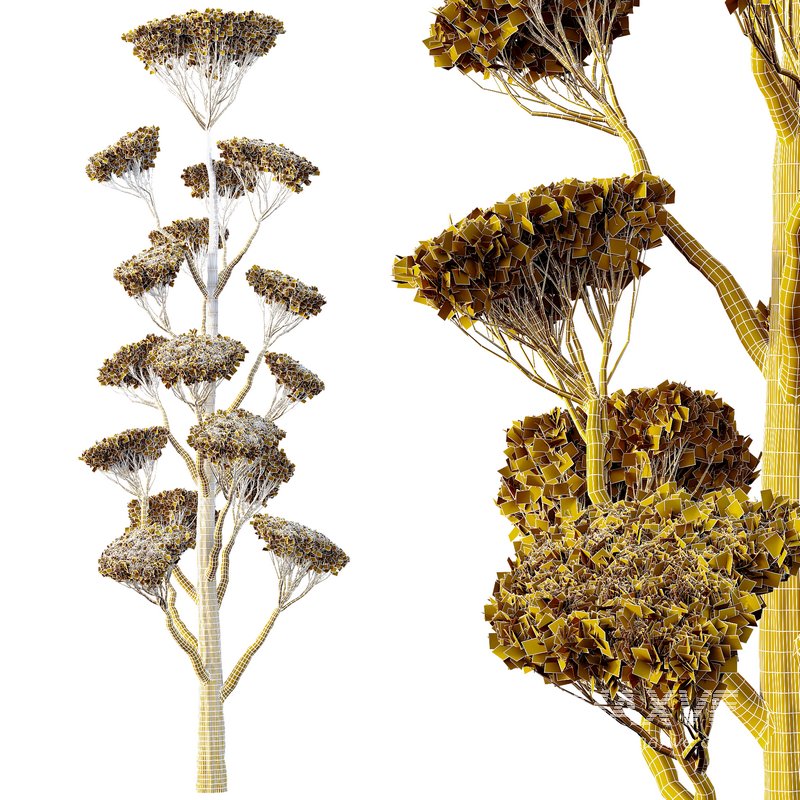 Spherical tree05 - Image 4