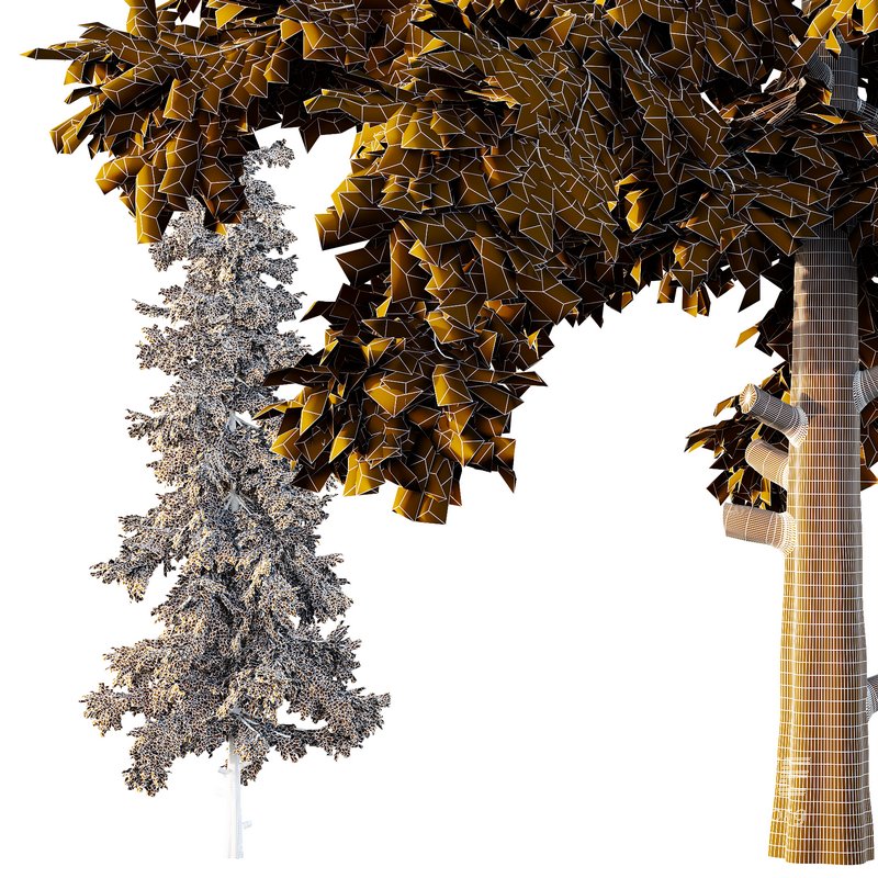 Alaska cedar Tree02 - Image 2