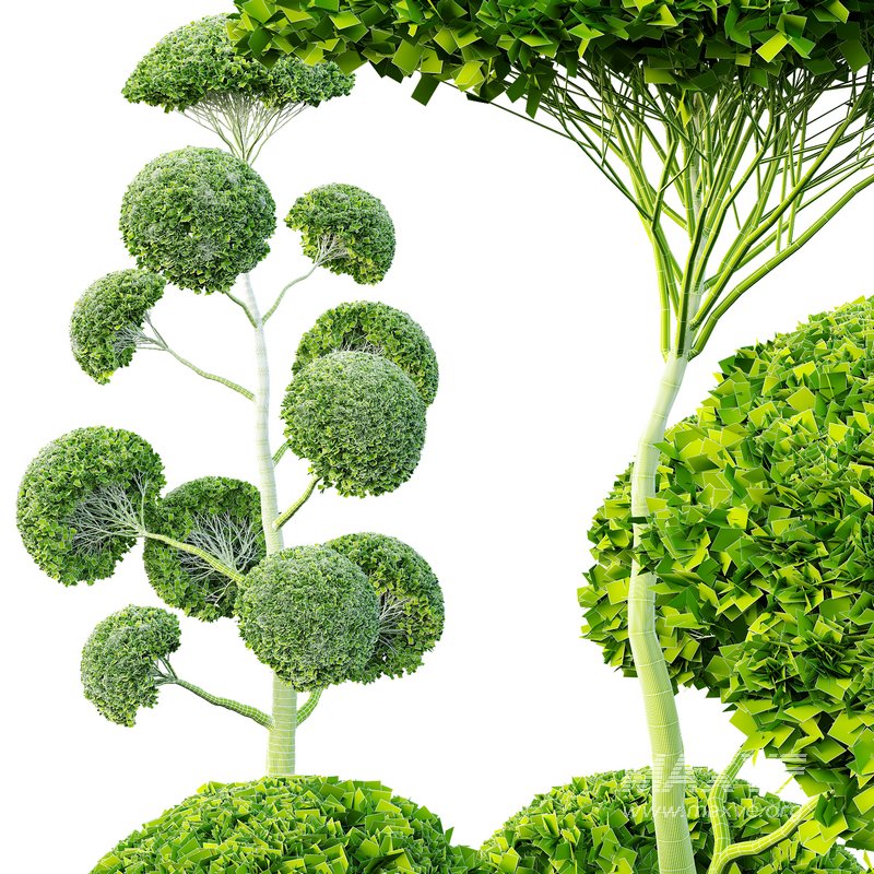 Spherical tree01 - Image 3