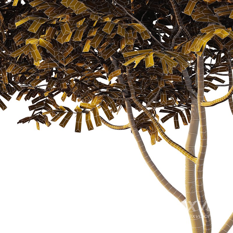 Manchurian Ash Tree02 - Image 5