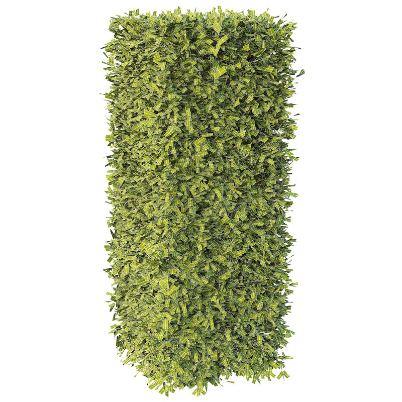 Dwarf Burning Bush Box Sphere - Image 5