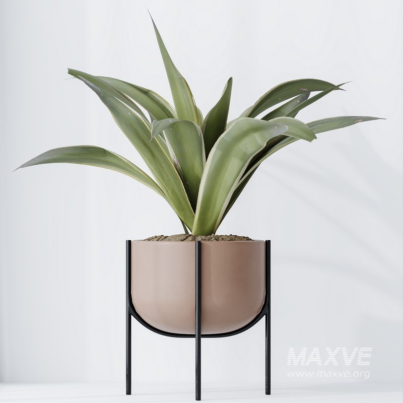 Lemon Lime Cane Dragon vases - Image 2