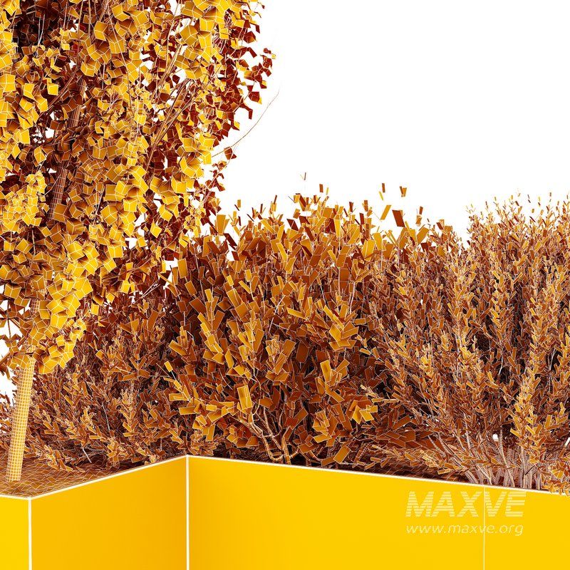 HQ Tree and bush garden box outdoor VOL 57 - Image 5