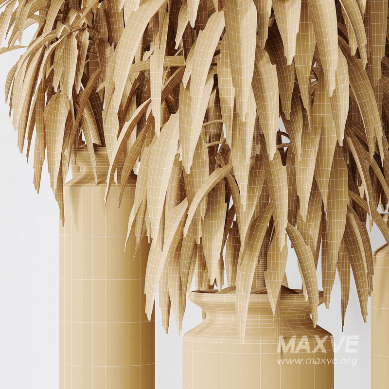 Maclellandii Braid and Mission Olive Tree Indoor Vase - Image 5