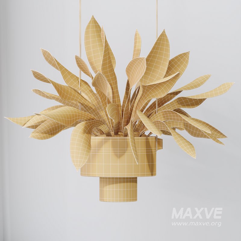 HQ HousePlants Snake Green Sansevieria Trifasciata Laurentii Rubia Set02 - Image 6