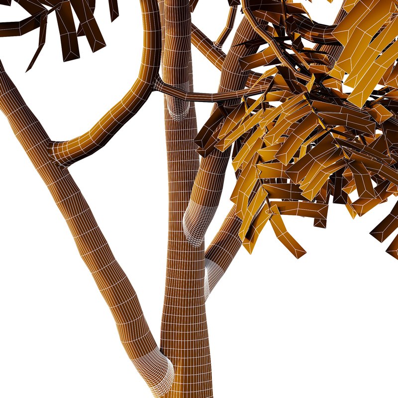 Manchurian Ash Tree01 - Image 6