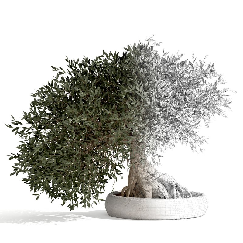 bonsai indoor plant set 03 3D model - Image 5