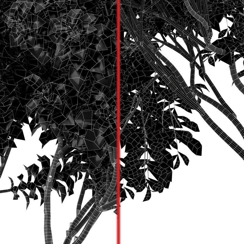 Joy Perfume Orange and Cherry Leaf - Image 5