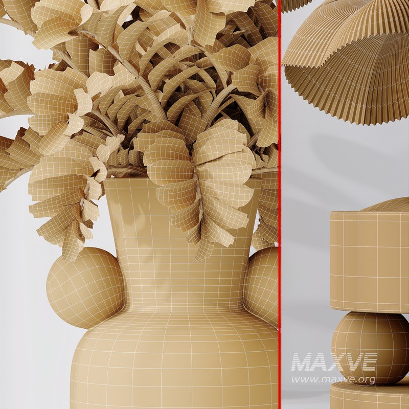 Licuala Grandis Ruffled and Zamioculcas Zamiifolia - Image 6