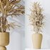 Dracaena Warneckii Lemon and Rhapis Excelsa vases - Thumbnail 6