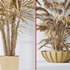 Areca Majesty Cat Reed Palm and Rhapis Excelsa Lady Palm vases - Thumbnail 6