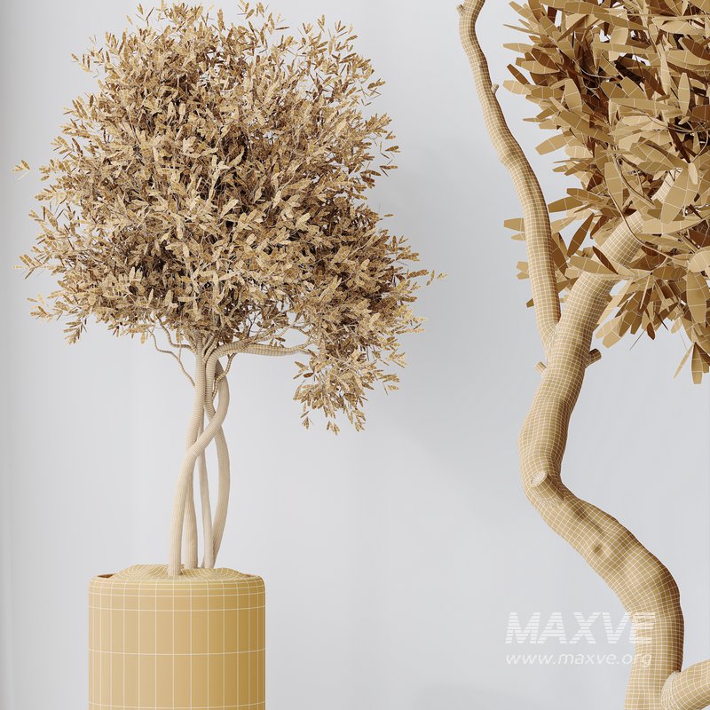 Olive Artificial Olivo Olea Tree - Image 6