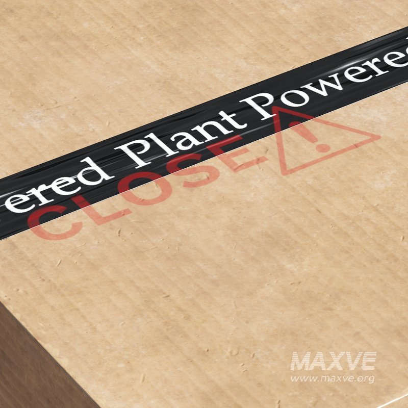 Cardboard box - Image 4