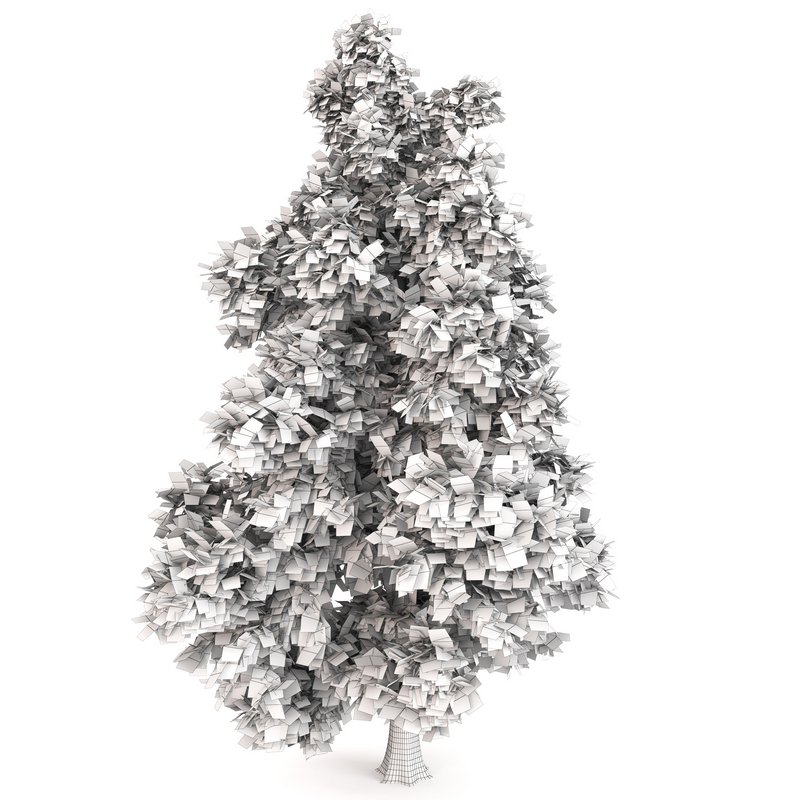 Tree Alaska 10 - Image 2