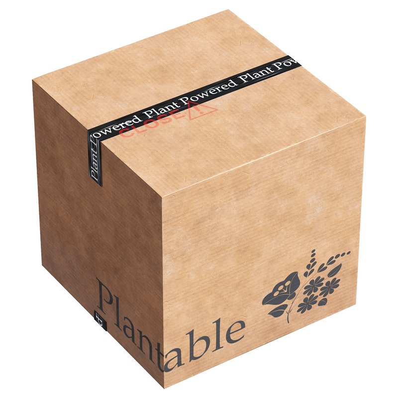 Cardboard box - Image 2