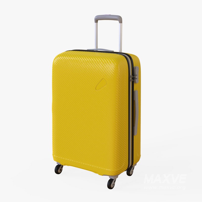 large Suitcase - Image 1