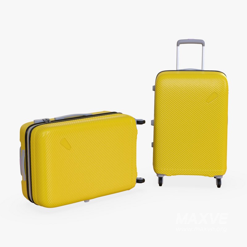 large Suitcase - Image 3