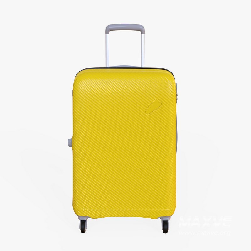 large Suitcase - Image 2
